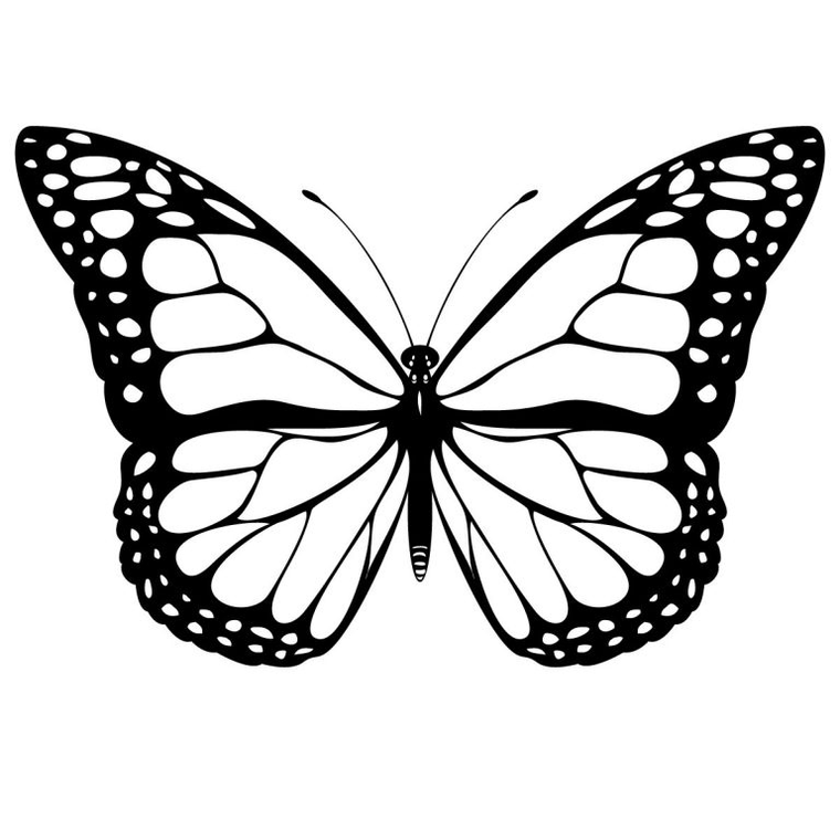 Butterflies coloring pages